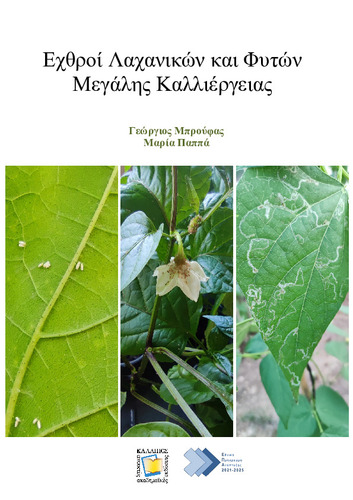 113-BROUFAS-Insect pests of vegetables.pdf.jpg