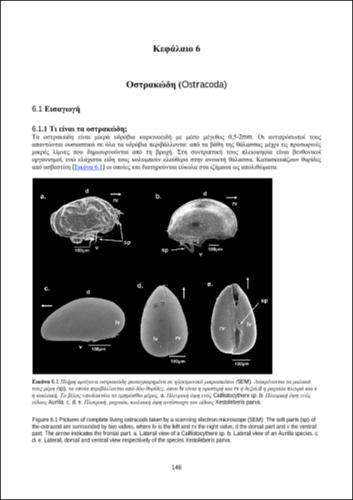 02_chapter_6.pdf.jpg