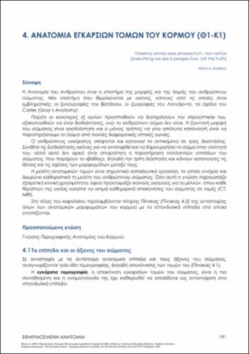235-FISKA-Applied Anatomy-ch04.pdf.jpg