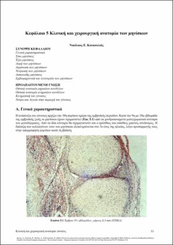 244_ZIBIS_Clinical-Surgical-Anatomy_CH05.pdf.jpg