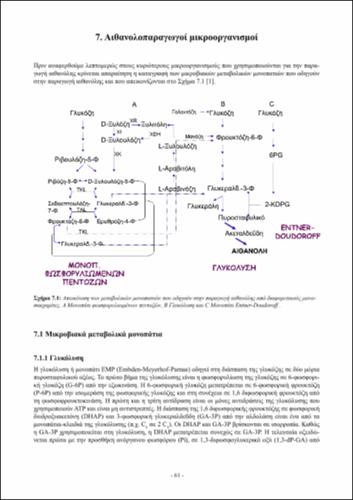 02_chapter_07.pdf.jpg