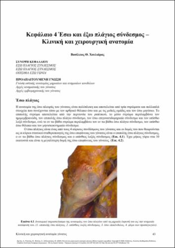 244_ZIBIS_Clinical-Surgical-Anatomy_CH04.pdf.jpg