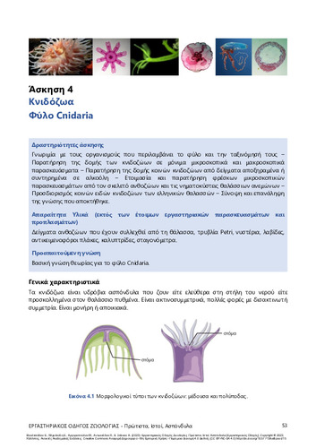 209-VOULTSIADOU-Laboratory-Manual-Zoology-ch04.pdf.jpg