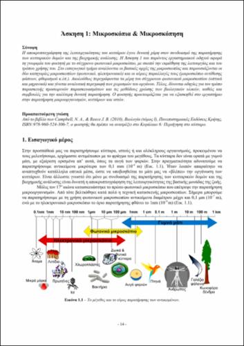 02_chapter_1.pdf.jpg